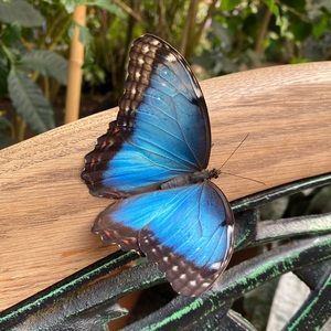 Meet your Posher, Anne